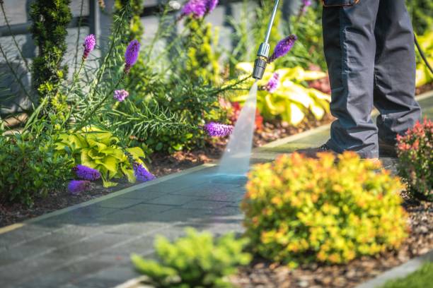 Best Driveway Pressure Washing  in Orange Blossom, CA