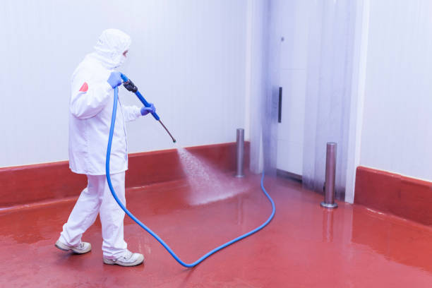 Best Patio and Deck Pressure Washing  in Orange Blossom, CA